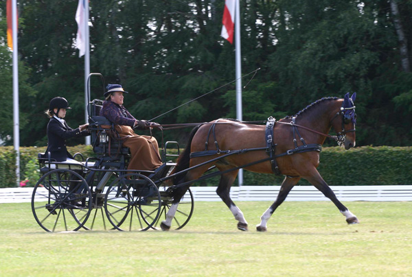 dianedressage.jpg