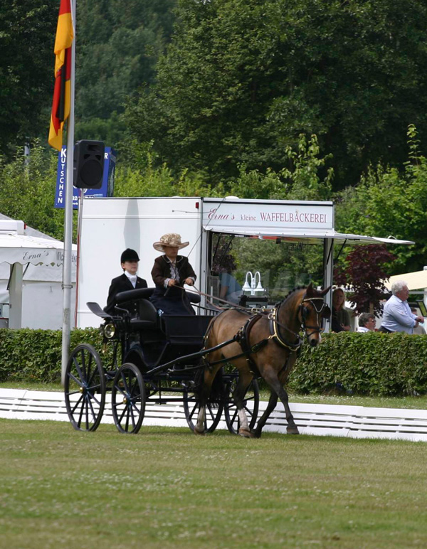 dressage.jpg