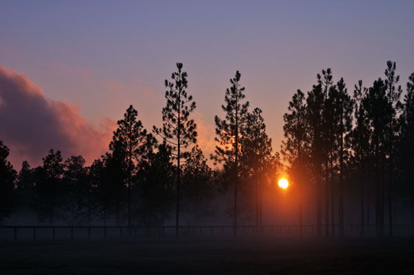 Aiken sunset