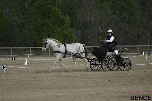 gilcrest farm schooling show