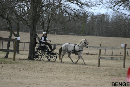 gilcrest farm schooling show