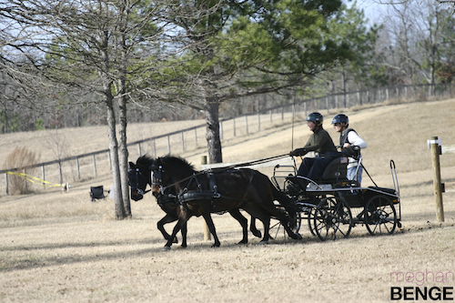 gilcrest farm schooling show