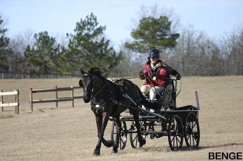 gilcrest farm schooling show