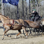 Cheryl Pratt Rivers driving Morgan Horse, Rowley, at Katydid Farm