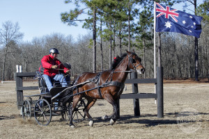 John Paul Gautier driving in the Windsor World Cup at Katydid Farm