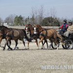 Wendy O'Brien driving Welsh pony four-in-hand at the Gilcrest Farm HDT in Aiken, SC
