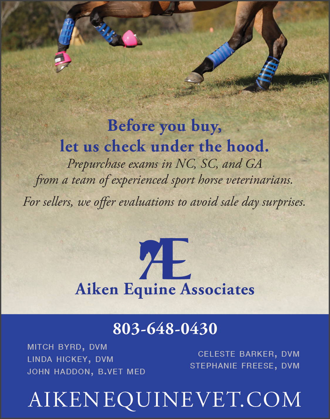 aiken-equine-vet-sporthorse-nation-ad-meghan-benge