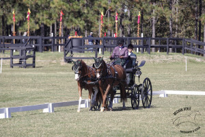 Boots Wright was uncontested in the Intermediate Pair Pony Championship