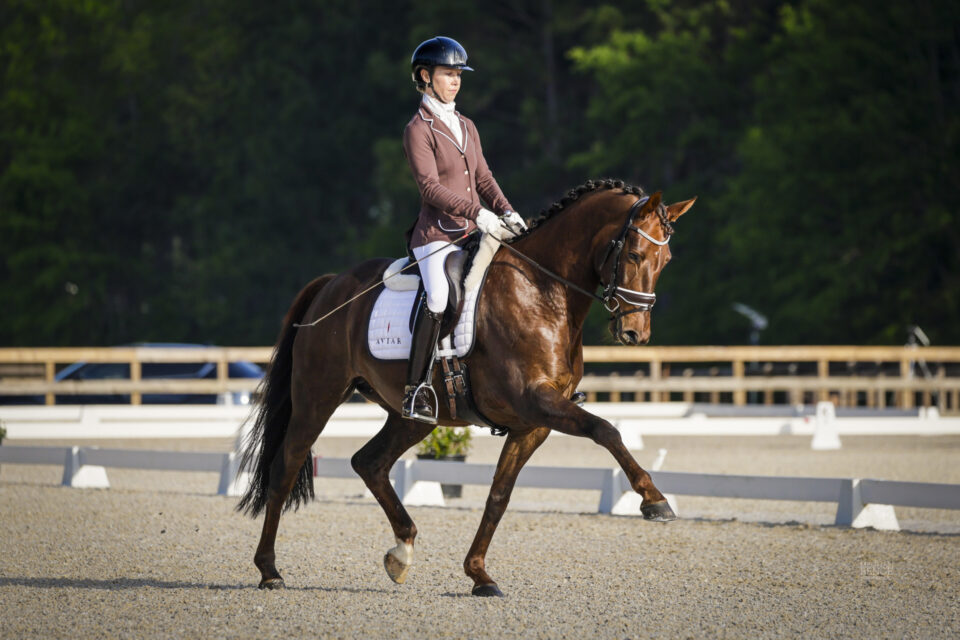 photo of a chestnut horse and rider competing in a dressage competition